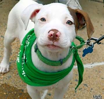 Photo of Roush
