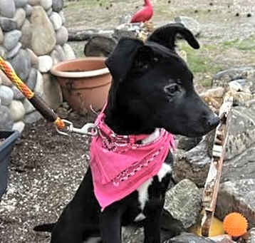 Photo of Miss Violet