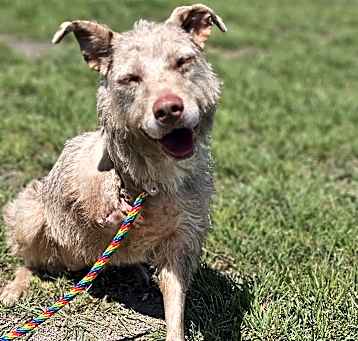 Photo of Aspen