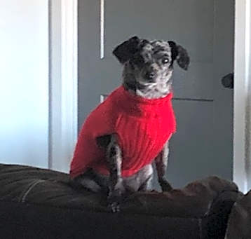 Photo of amy