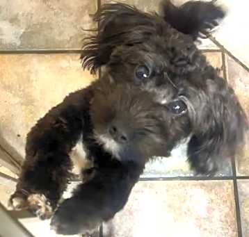 Photo of Millie