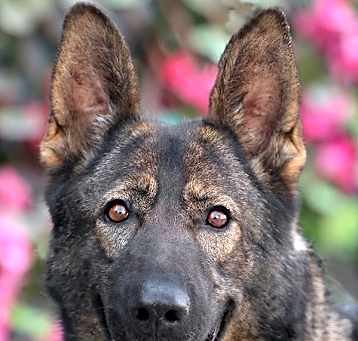 Photo of Storm von Selbitz