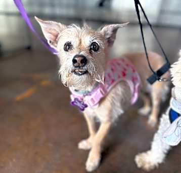 Photo of Lucy Lou