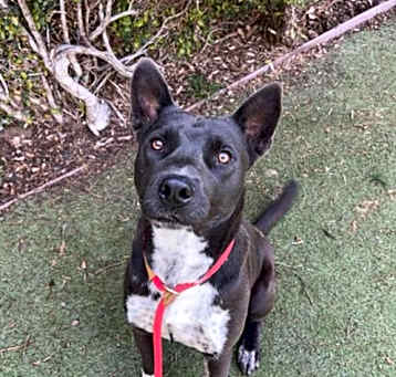 Photo of LOKY