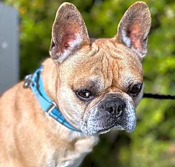 Photo of Winston