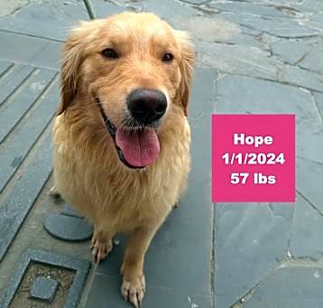 Photo of Hope