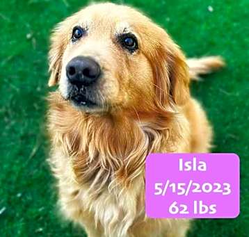 Photo of Isla