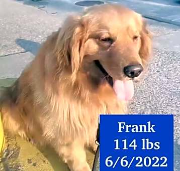 Photo of Frank