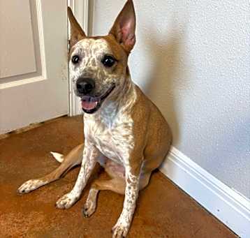 Photo of Barklin