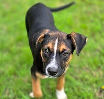 Photo of Jethro