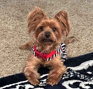 Photo of Zoe
