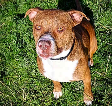 Photo of Cosmo