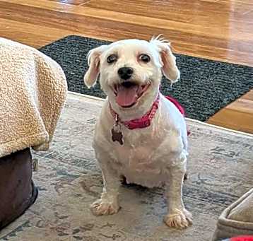 Photo of Rita