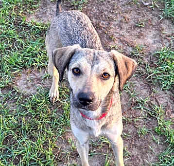 Photo of Prim