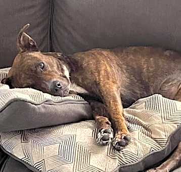 Photo of Nellie