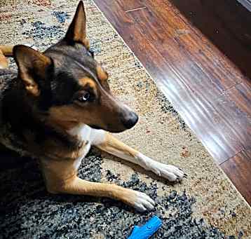 Photo of Sasha