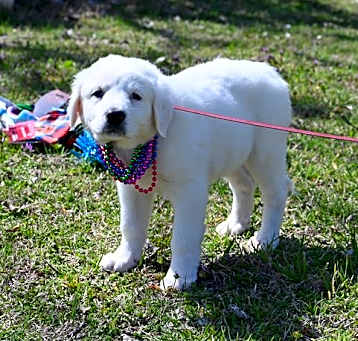 Photo of Bonita