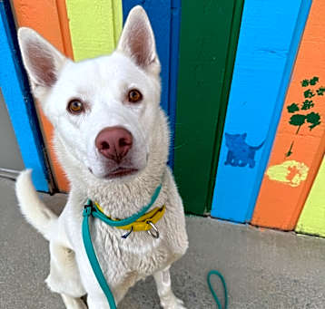 Photo of Storm