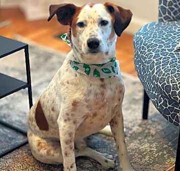 Photo of Cooper