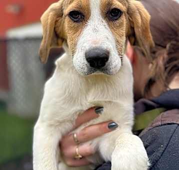 Photo of Olivia