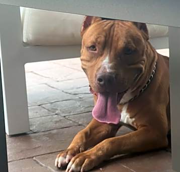 Photo of Thor