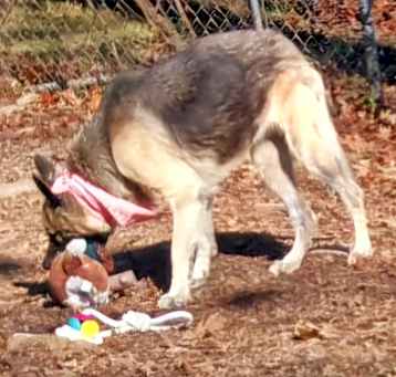 Photo of Melee