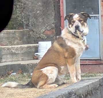 Photo of Arto