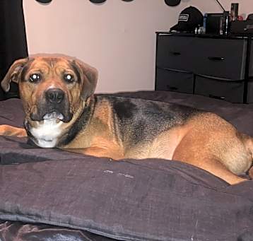 Photo of Scar