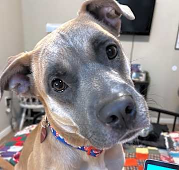 Photo of Tater