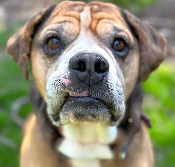 Photo of Tank