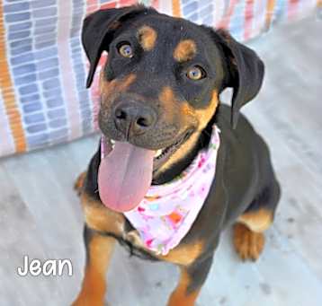 Photo of Jean