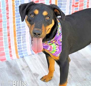 Photo of Billie