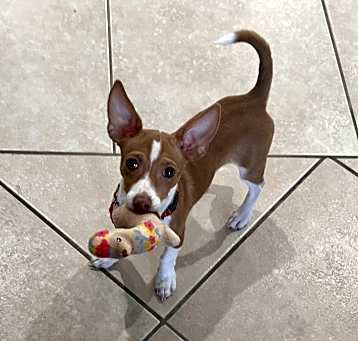 Photo of George