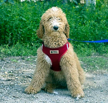 Photo of Hanna