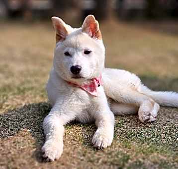 Photo of Yori