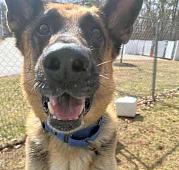Photo of Echo