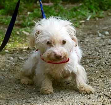 Photo of Sugar