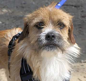 Photo of Tonny