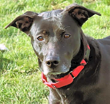 Photo of Princess
