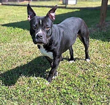 Photo of DIESEL