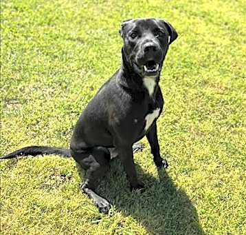 Photo of SPOOKY