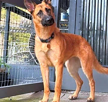 Photo of Ripley SJ