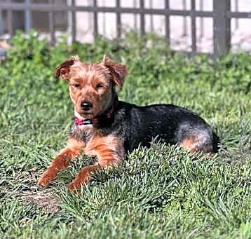 Photo of Thumper