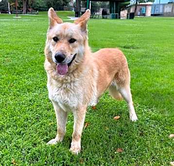 Photo of Cheddar