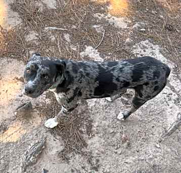 Photo of Skye