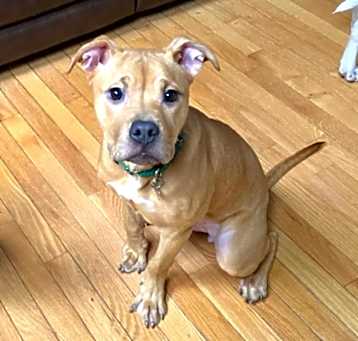 Photo of Molly Mae