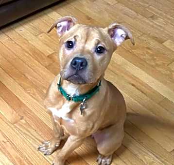 Photo of Molly Mae