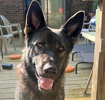 Photo of Jax