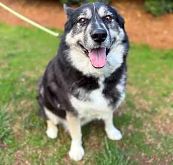 Photo of Sammy