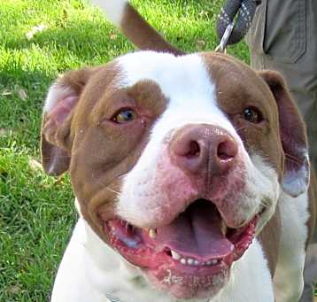 Photo of Reuben